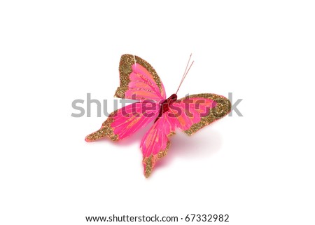 decorative butterfly on a white background