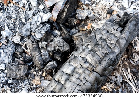 Remains of black burnt charcoal and piles of grey ash after a log fire was extinguished