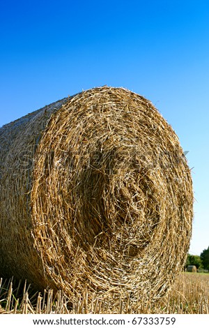 Yellow hay bale under a blu sky