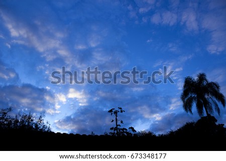 Blue cloudy sky and tree's silhouettes.