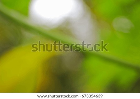 green yellow abstract background 