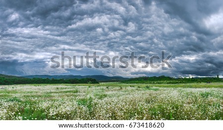 Dark grey clouds in the sky promise rain. Over flower meadow. Panoramic picture