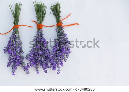 Fresh  lavender with copy space, selective focus close up
