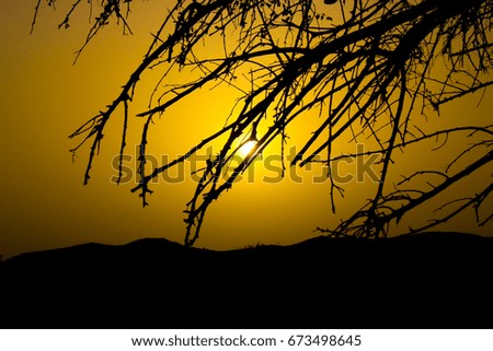 sunset silhueotte