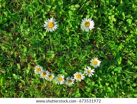 Cheerful smiley of daisies on green grass