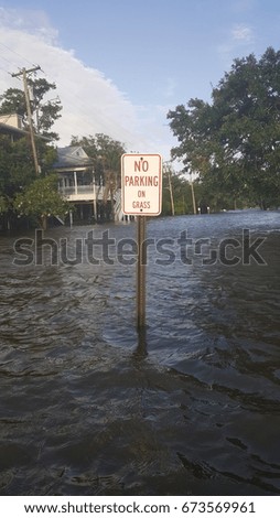 No Parking on grass sign in flooded street