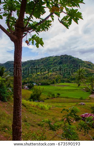 Rice terraces in the Philippines. The village is in a valley among the rice terraces. Negros island