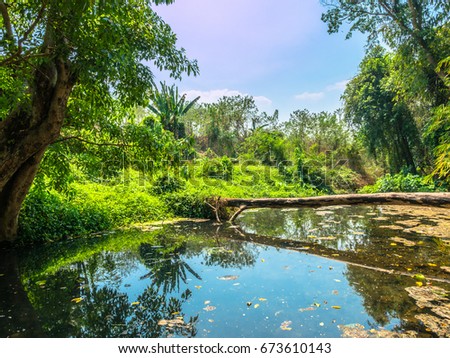Emerald Pool Natural Hot Spring beside a Kuimong canal Thong Phaphum Kanchanaburi province Thailand