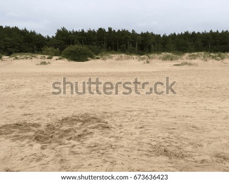 The beach sand