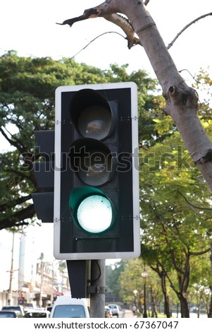 green stoplight transort with green tree