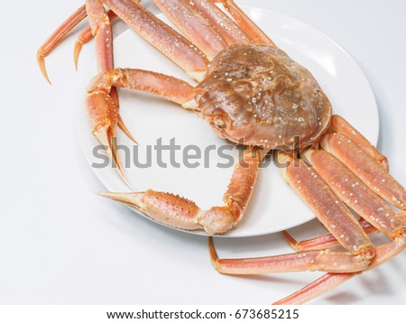 Spiny Spider Crab isolated on white background.