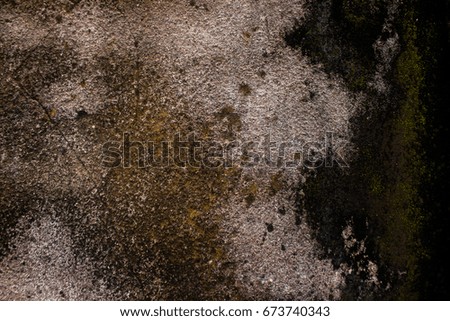 Abstract cement wall texture and background. Grunge  cement wall Grunge texture background.