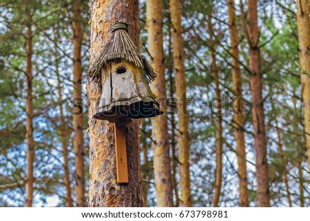 Birdhouse in pine forest