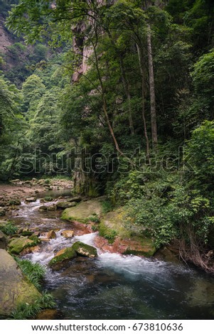 Scenic view of mountain river and green forest in the Zhangjiajie National Forest Park, China