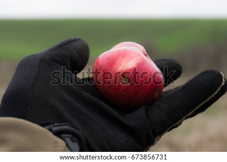 Autumn apple on hand