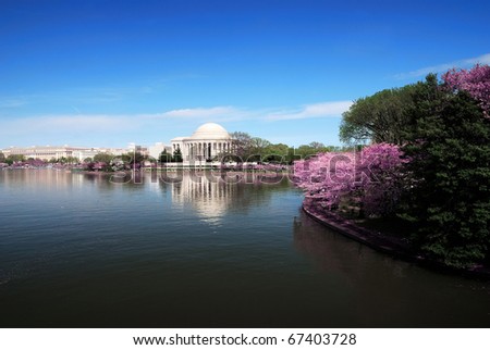Washington DC lake skyline. Jefferson national memorial with cherry blossom in Washington DC.