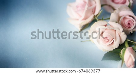 Wedding background with tender roses