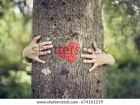 Tree hugging, little boy giving a tree a hug with red heart concept for love nature Royalty-Free Stock Photo #674161219