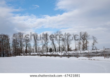 european winter landscape