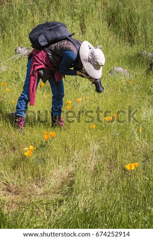 A photographer with a hat and pack taking pictures of poppies in a green field.
