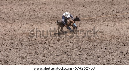 Cowboy wrestling a calf at a rodeo