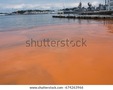 Red tide Royalty-Free Stock Photo #674263966