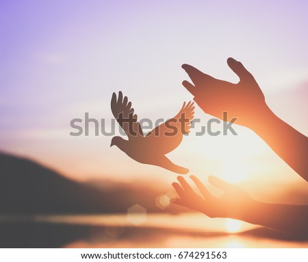 Woman praying and free bird enjoying nature on sunset background, hope concept
/ soft focus picture /   cinematic tone