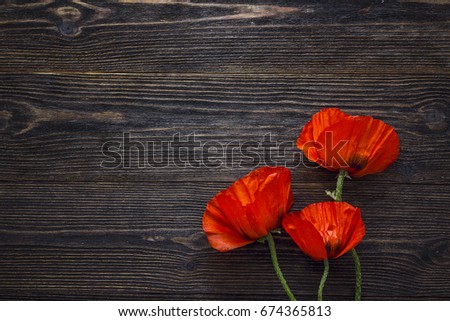 Red poppies flowers on dark wood background. Top view with copy space.