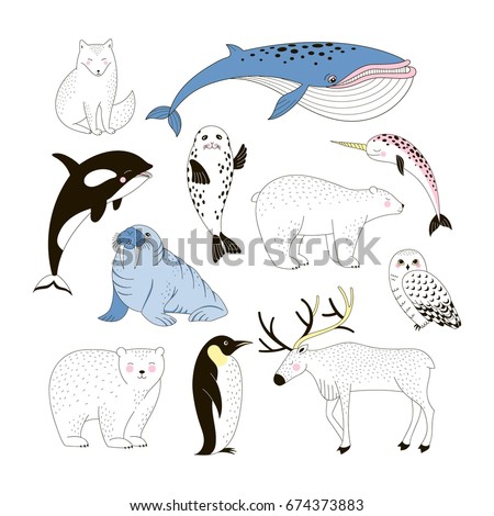  Arctic animals clip-art collection
