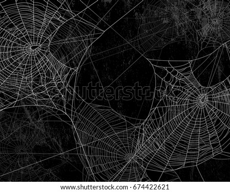 Spider web silhouette against black wall - halloween theme dark background