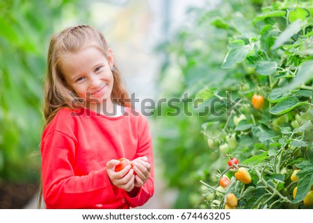 Cute little girl collects crop cucumbers and tomatos in the greenhouse