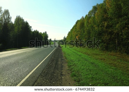 road deciduous forest sky summer
