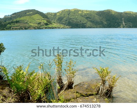 at the banks of Lagoa Azul - the blue lake - in the crater of Sete Ciadades on Sao Miguel, Azores, Portugal
