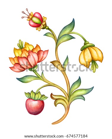 watercolor illustration, red tulip flower, green leaves, apple fruit, antique design element, medieval floral ornament, vintage pattern, clip art isolated on white background