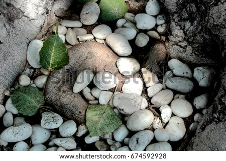 stones and green leaves isolaled on white background