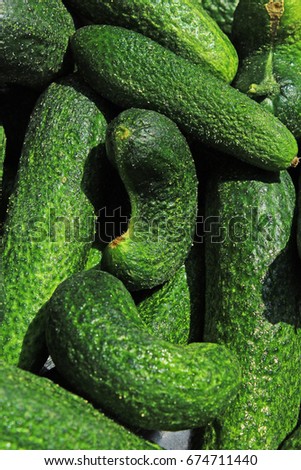 
Pickles as background. Green pickle texture pattern. 
pickled cucumber,