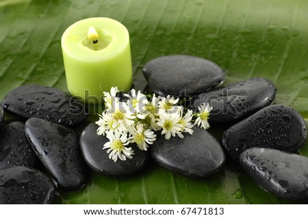 still life with green candle and white flower and stones on green leaf