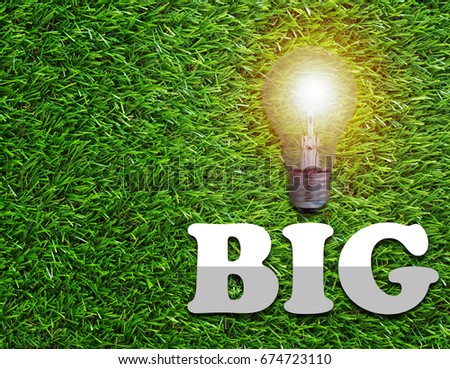 Think big concept, light bulb on green grass background