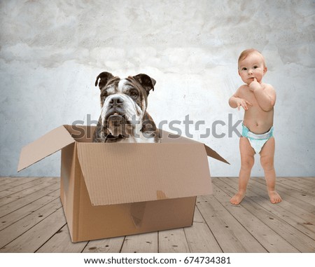 Baby and dog playing in a paper box