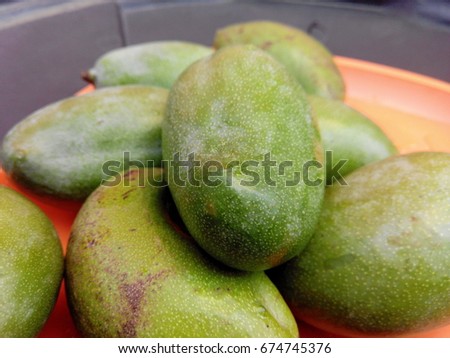 The Close up of Unripe Green Mango. Unripe Green Mango is used for making pickles in India. 