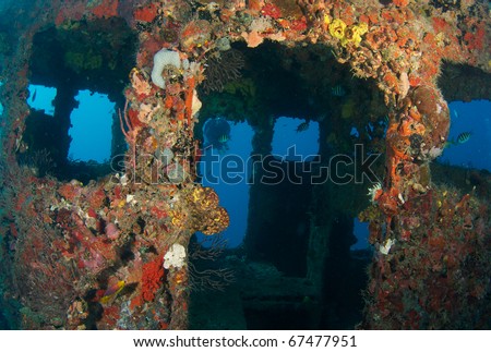 Wheelhouse of a shipwreck encrusted with coral growth,used as an artificial reef, picture taken in Broward County Florida.