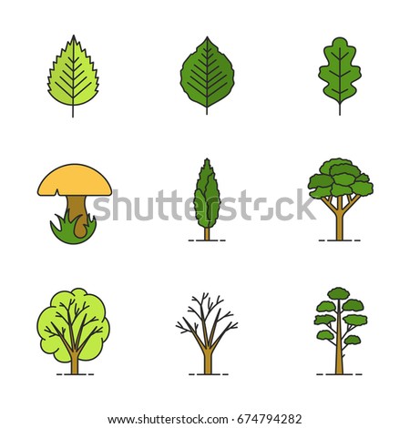 Trees color icons set. Poplar, birch, oak leaves and trees, mushroom, pine. Isolated vector illustrations