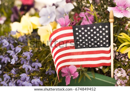 Stars and strips (American flag) on a pot of colorful flowers to celebrate the 4th of July in the US, sepia toned.