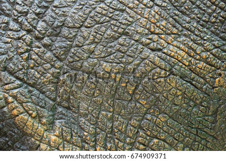 Dinosaur Skin Texture. Royalty-Free Stock Photo #674909371