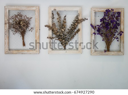 Dry flower picture frame on wall with copy space.