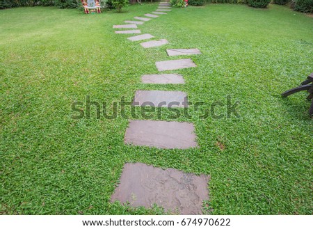 stone walk way between grass in the garden