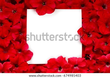  Flowers with paper card note. Flat lay. Flower concept. Petunia flower. Red flower.