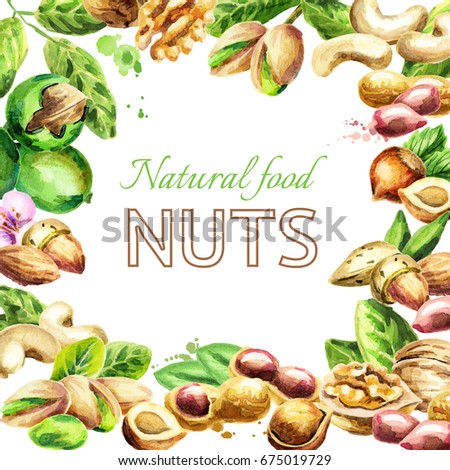 Nuts mix. Organic food. Watercolor hand-drawn illustration