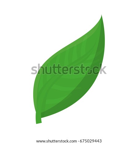 leaf icon image
