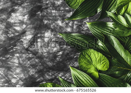Creative background made of paper in paint and green leaves. Flat lay. Nature concept